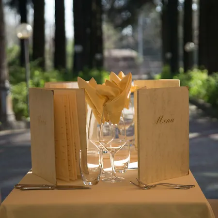 Western Air Linate 4*