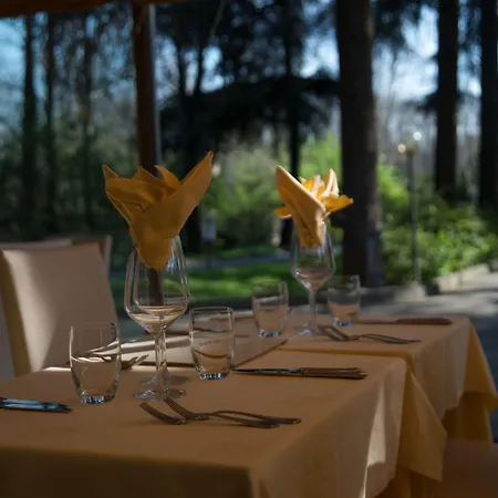 Western Air Linate Hotel