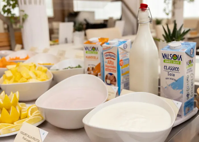 Hotel Western Air Linate 4*