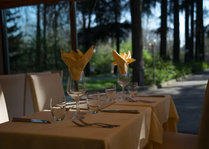 Western Air Linate Hotel